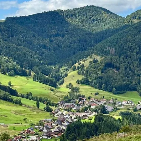 Gruener Wohnen Im Alten Schulhaus * 托特瑙