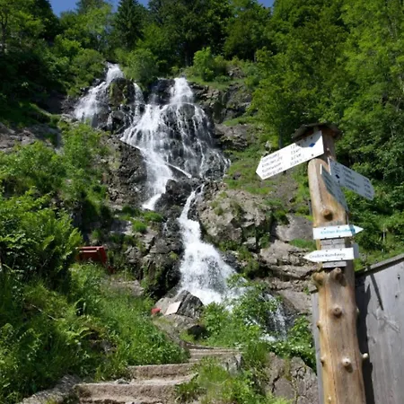 公寓 Gruener Wohnen Im Alten Schulhaus 托特瑙