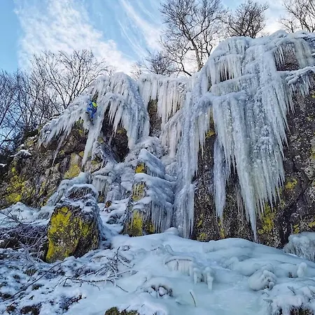 Gruener Wohnen Im Alten Schulhaus