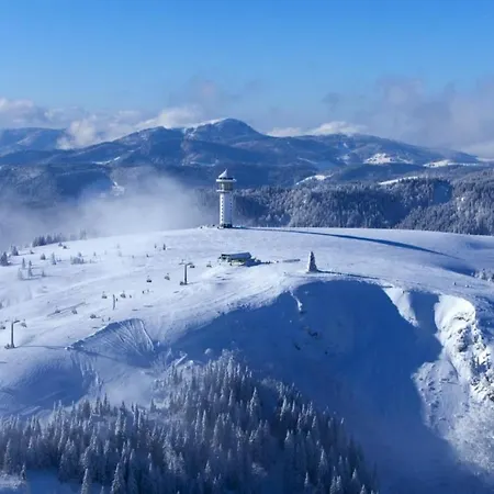 شقة Gruener Wohnen Im Alten Schulhaus تودتناو