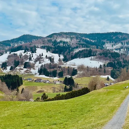 Grüner Wohnen Im Alten Schulhaus Apartamento Todtnau